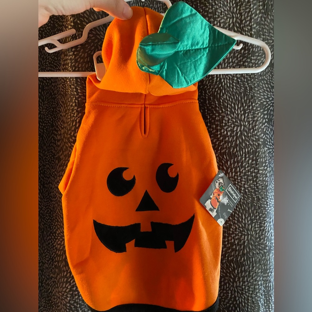 Halloween pet costume
